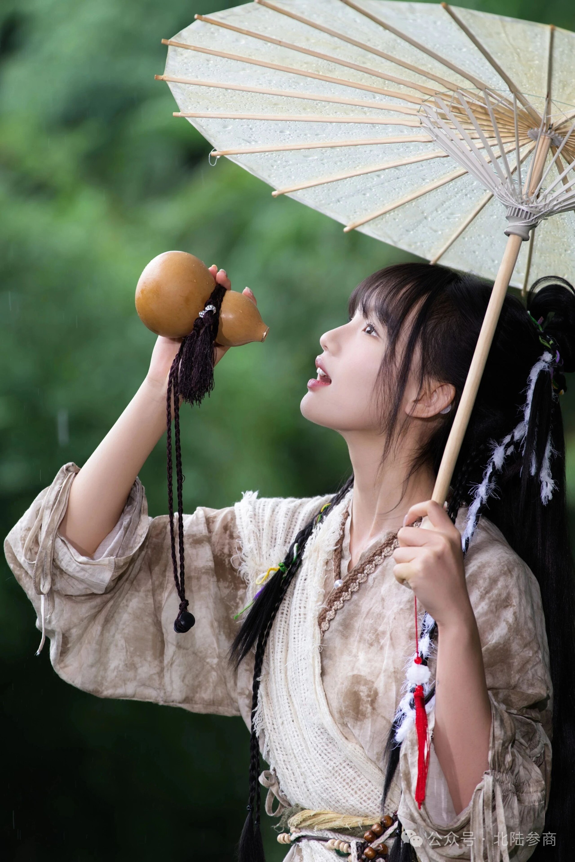 丐帮女侠