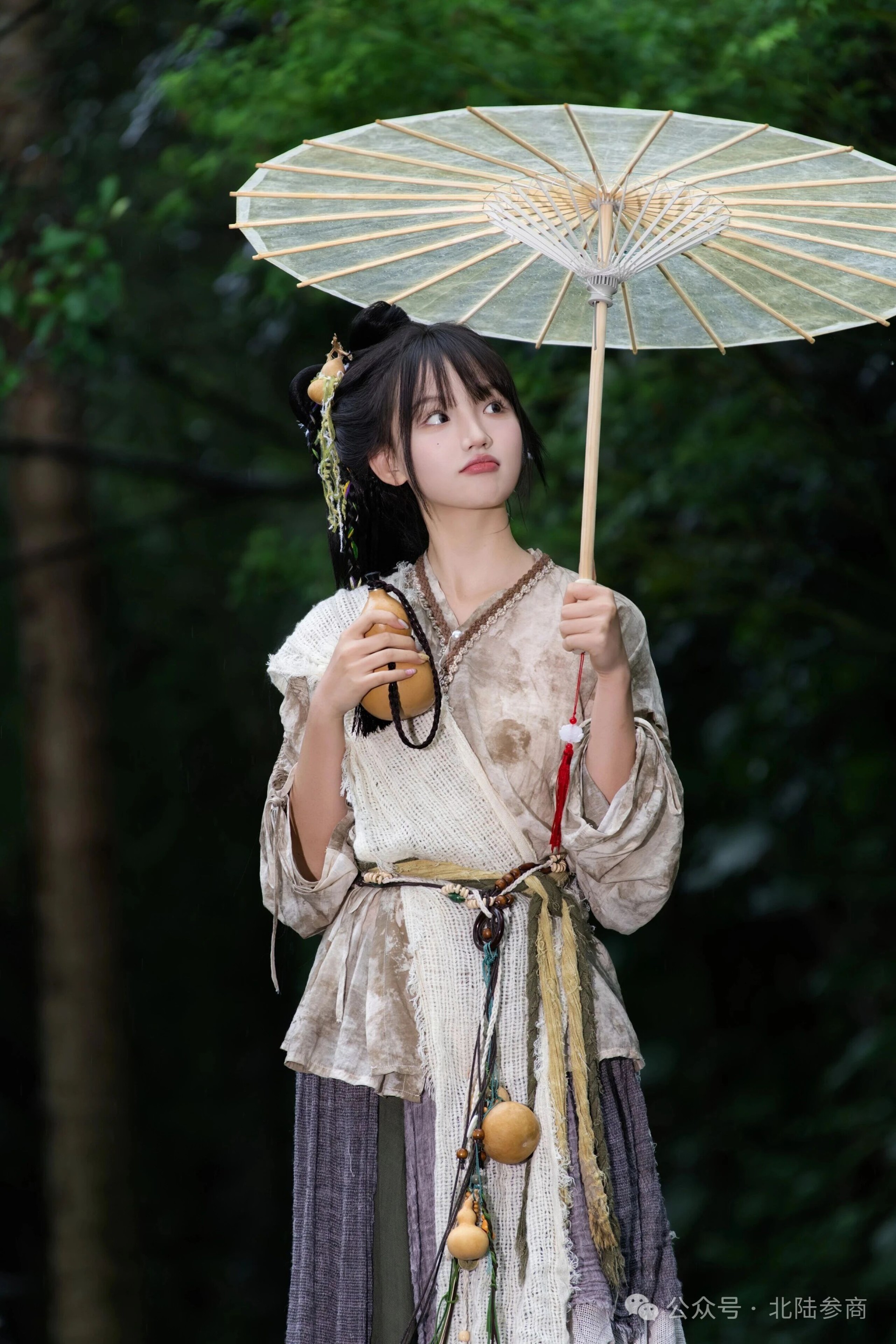 丐帮女侠