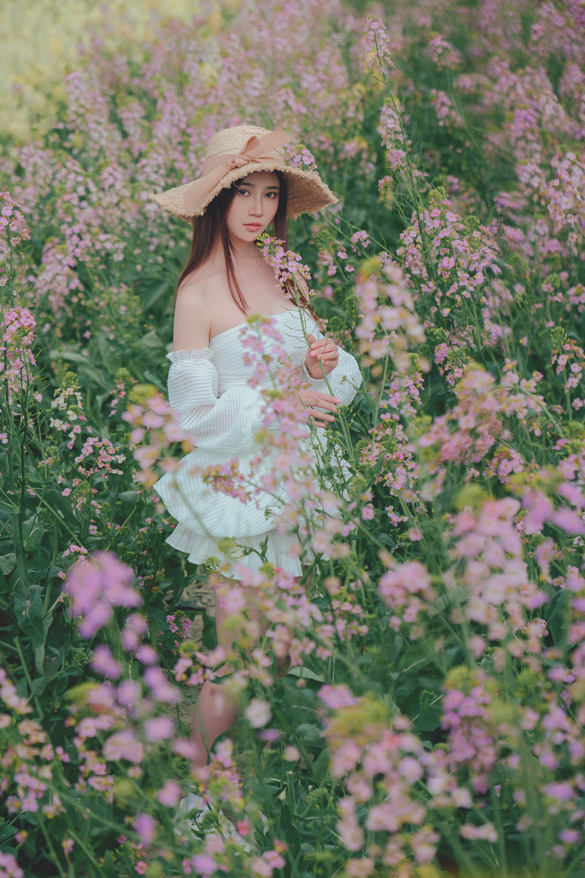花野