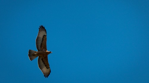 0b233251af5526e769c1d3634a652621--2228797319.jpg