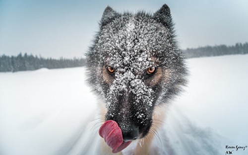 48826d35f52b46d5df67f6786da513b1.jpg