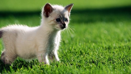 4e05f9cbb4d34db8cbe2cfe9a89bad82.jpg