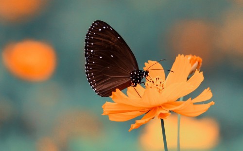 5d89fe896be48.jpg
