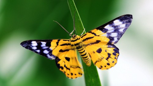 697f0dd006189cae22a8df34088e5418.jpg