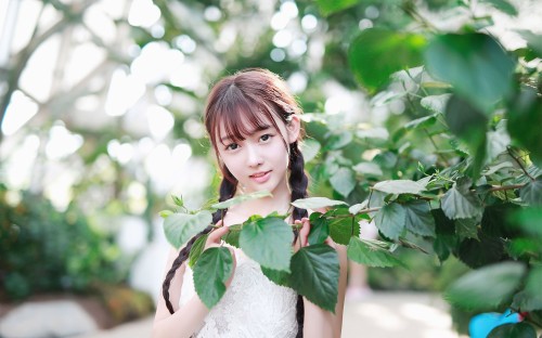 a33c9c34355a8bb937ab03fce8b72516.jpg