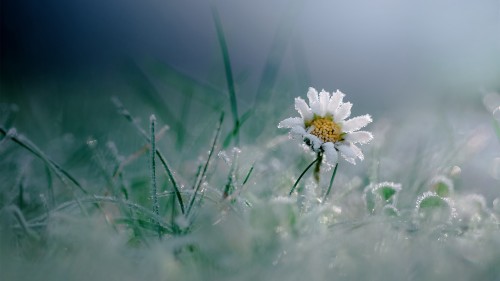 5d3138b28c61e.jpg