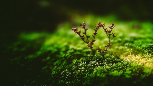 5d42550b0a6ae.jpg