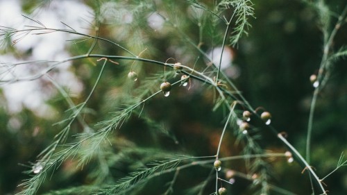 5d4255ef78d94.jpg