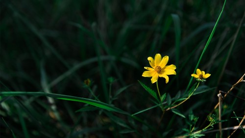 5dc50e90458f0.jpg