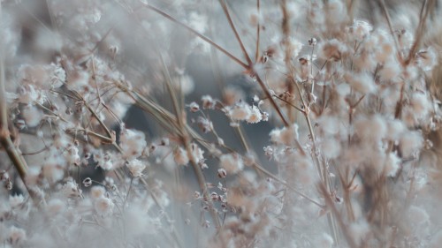 d957d38f09bb6e87f85c6ea926e3ef64.jpg
